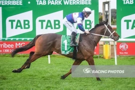 Go Racing | rr6_7934.webp Winning at