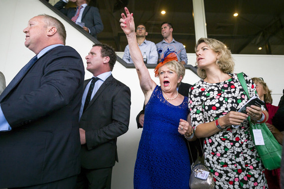 Go Racing | Thoroughbred Syndicate