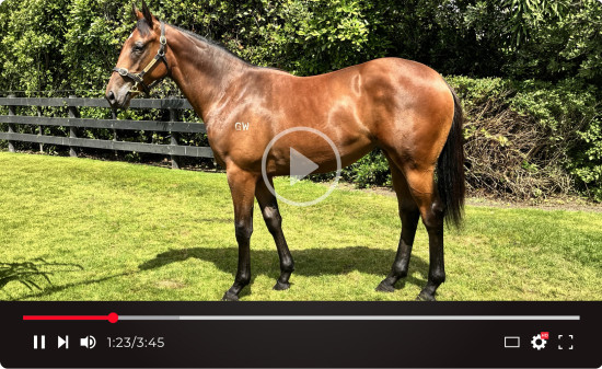 youtube-a-grand-a-man-2.2